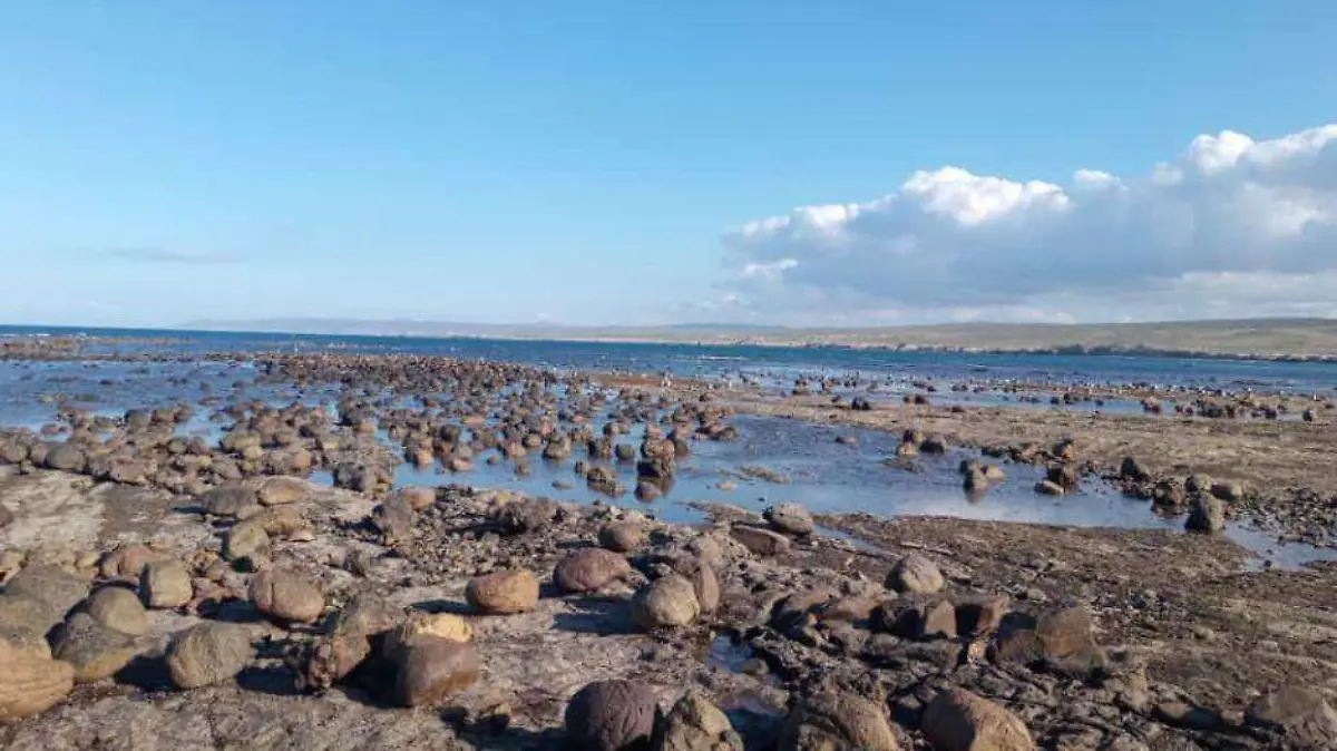 Ejidos Reserva de la Biósfera Vízcaino